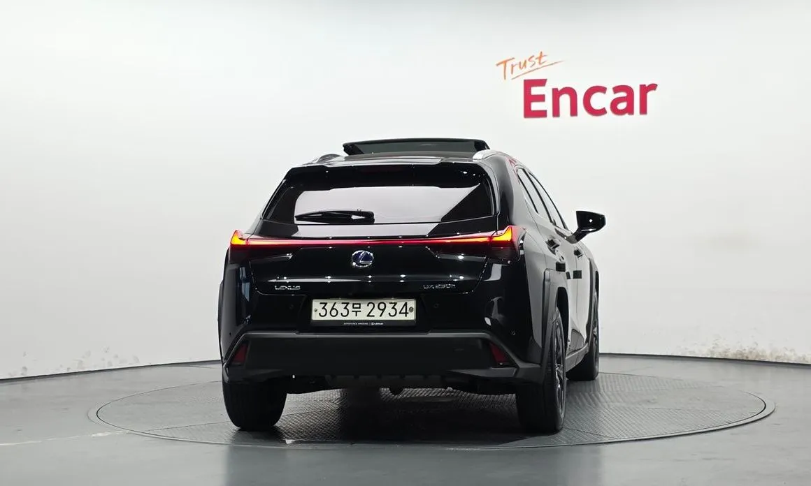 Lexus UX 2021 из KR, фото 2