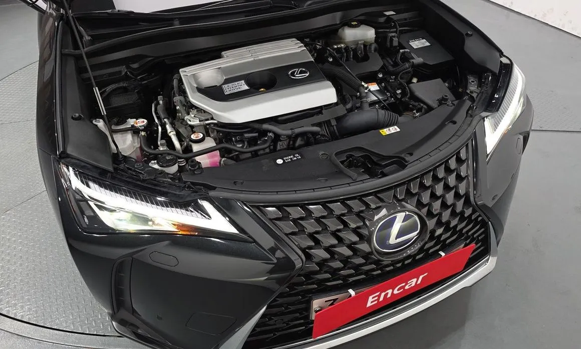 Lexus UX 2021 из KR, фото 10