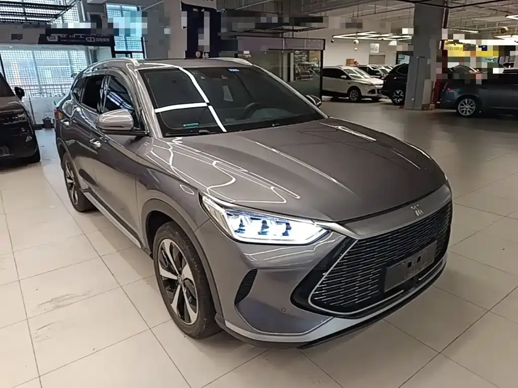 BYD PLUS New Energy — фото 4