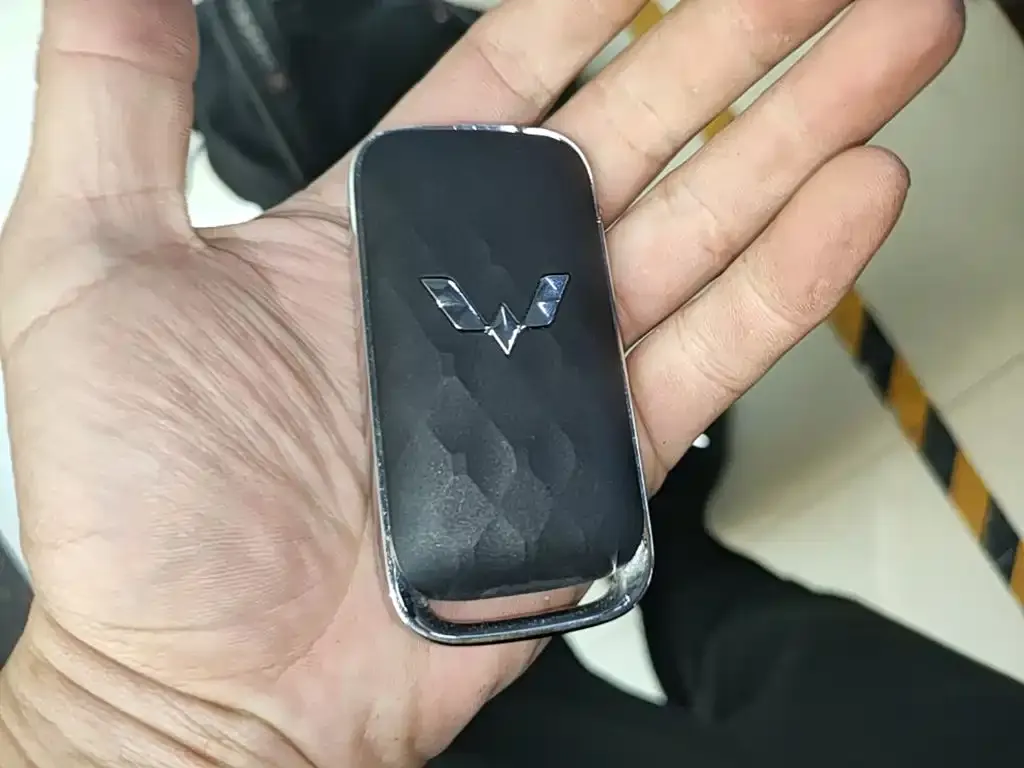 Wuling Xingguang 2024 из CN, фото 3