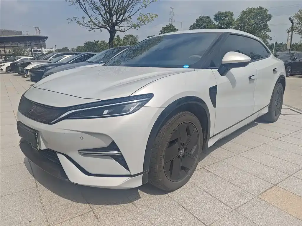BYD L EV