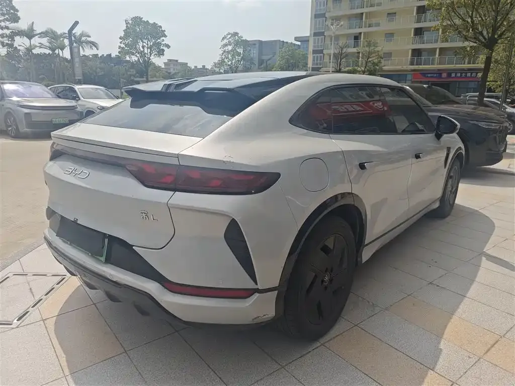 BYD L EV 2024 из CN, фото 6