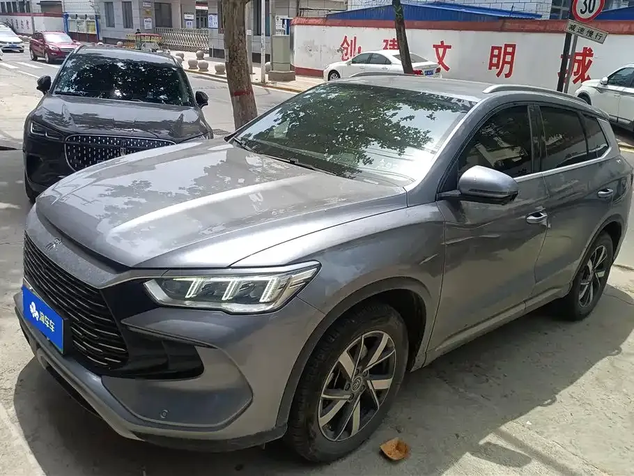 BYD Pro New Energy