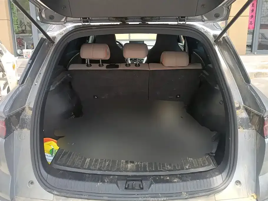 BYD Pro New Energy 2025 из CN, фото 3