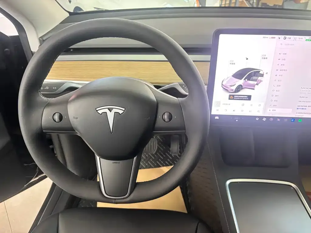 Tesla Model Y — фото 8