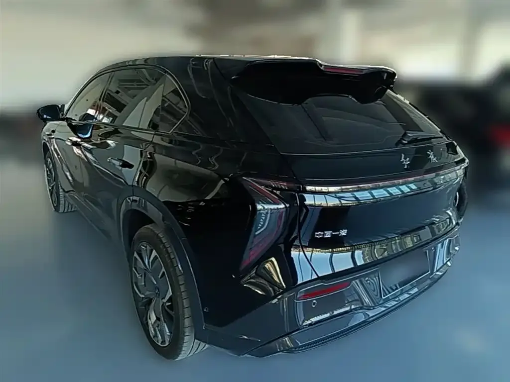 Hongqi Tiangong 08 2024 из CN, фото 9