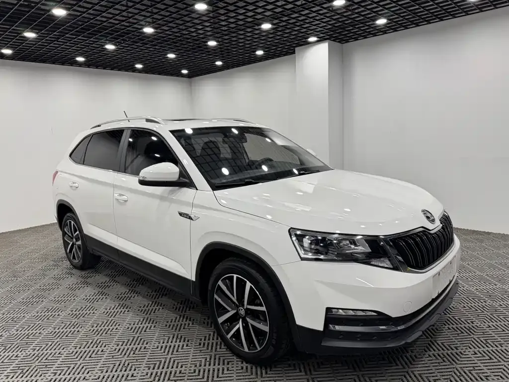 Skoda Kamiq 2022 из CN, фото 9