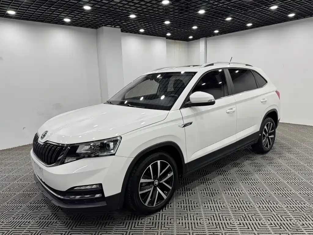 Skoda Kamiq 2022 из CN, фото 5