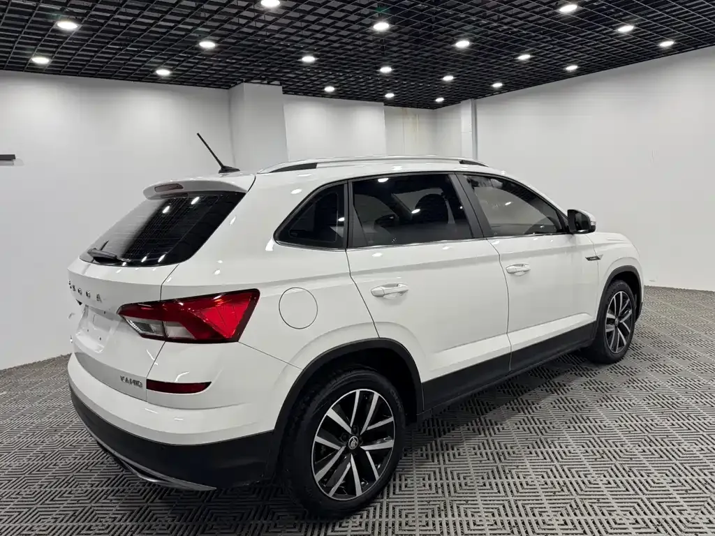 Skoda Kamiq 2022 из CN, фото 6