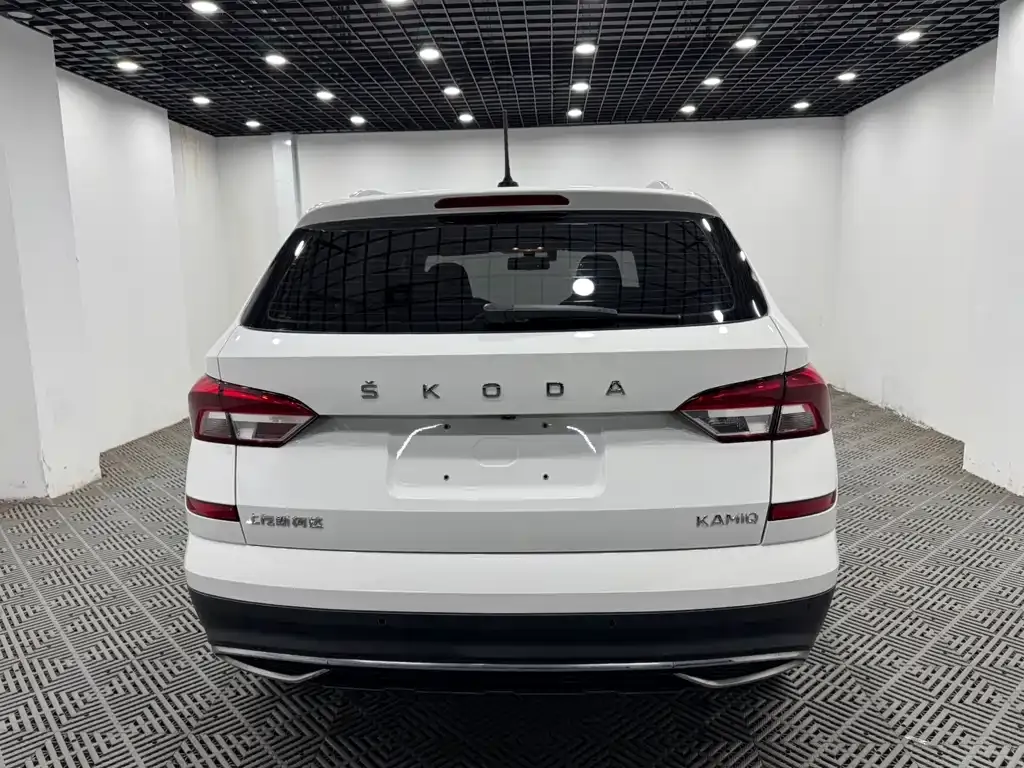 Skoda Kamiq 2022 из CN, фото 8