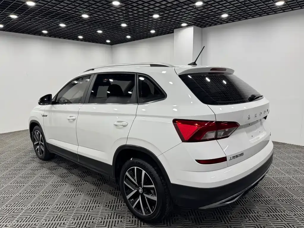 Skoda Kamiq 2022 из CN, фото 7