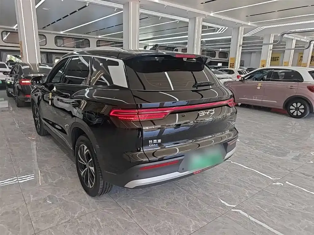 BYD Pro New Energy — фото 7