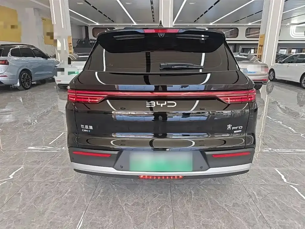 BYD Pro New Energy — фото 2