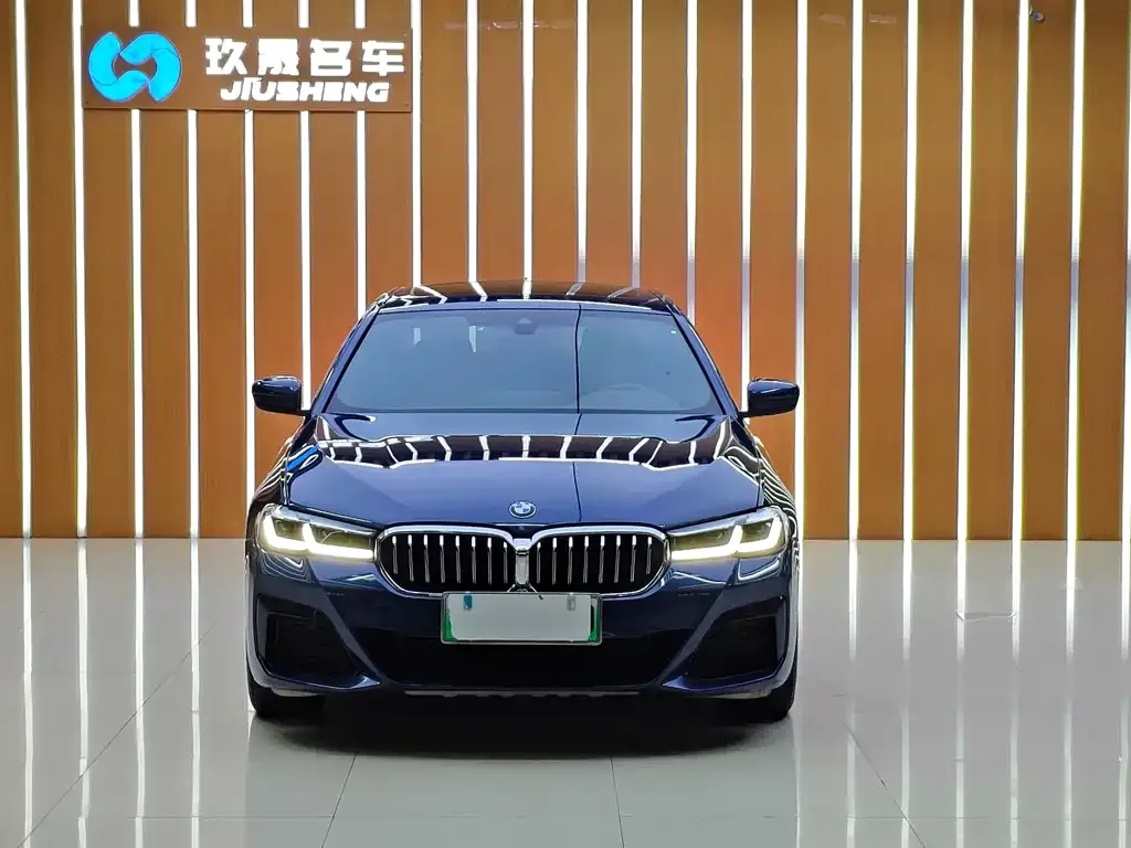 BMW 5 Series New Energy 2021 из CN, фото 3