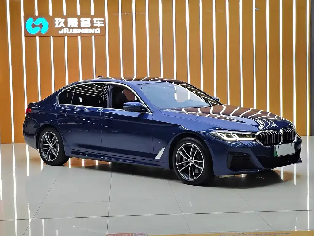 BMW 5 Series New Energy 2021 из CN, фото 2