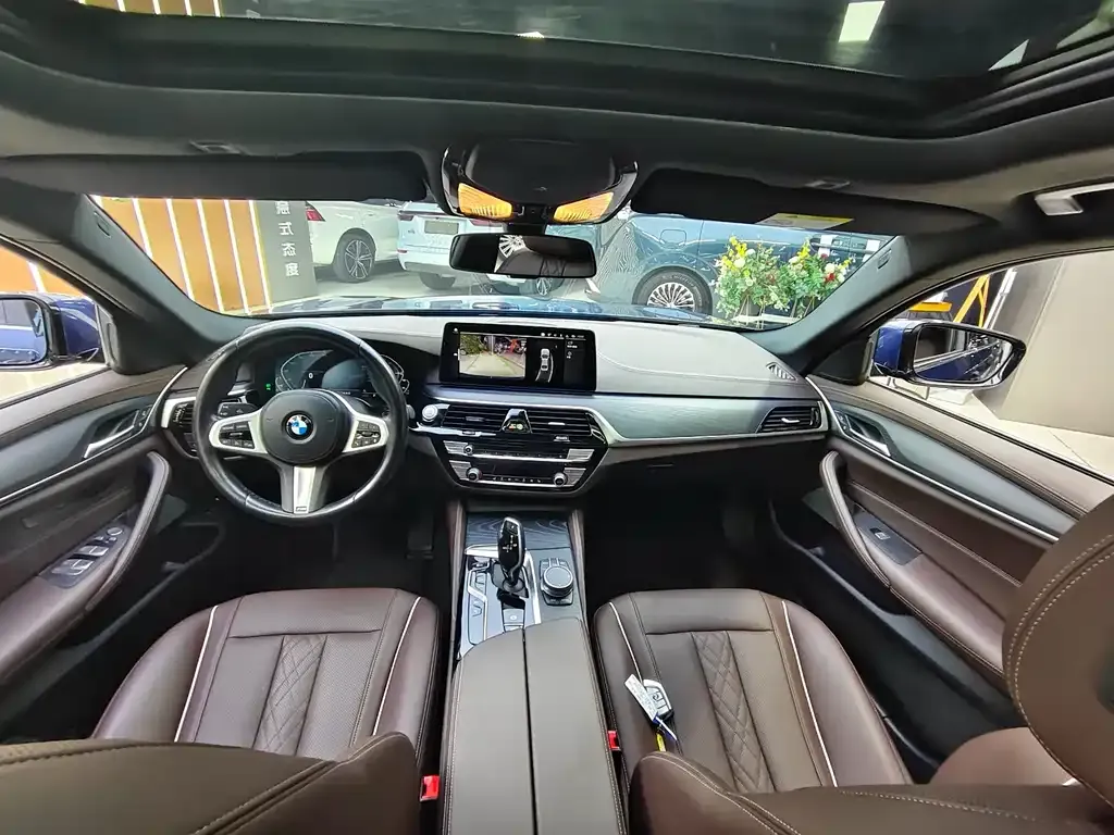 BMW 5 Series New Energy 2021 из CN, фото 6