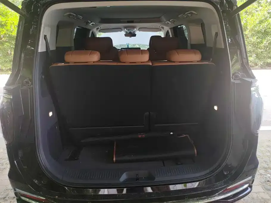 Hongqi HQ9 2023 из CN, фото 4