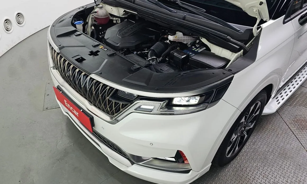 Kia Carnival — фото 10