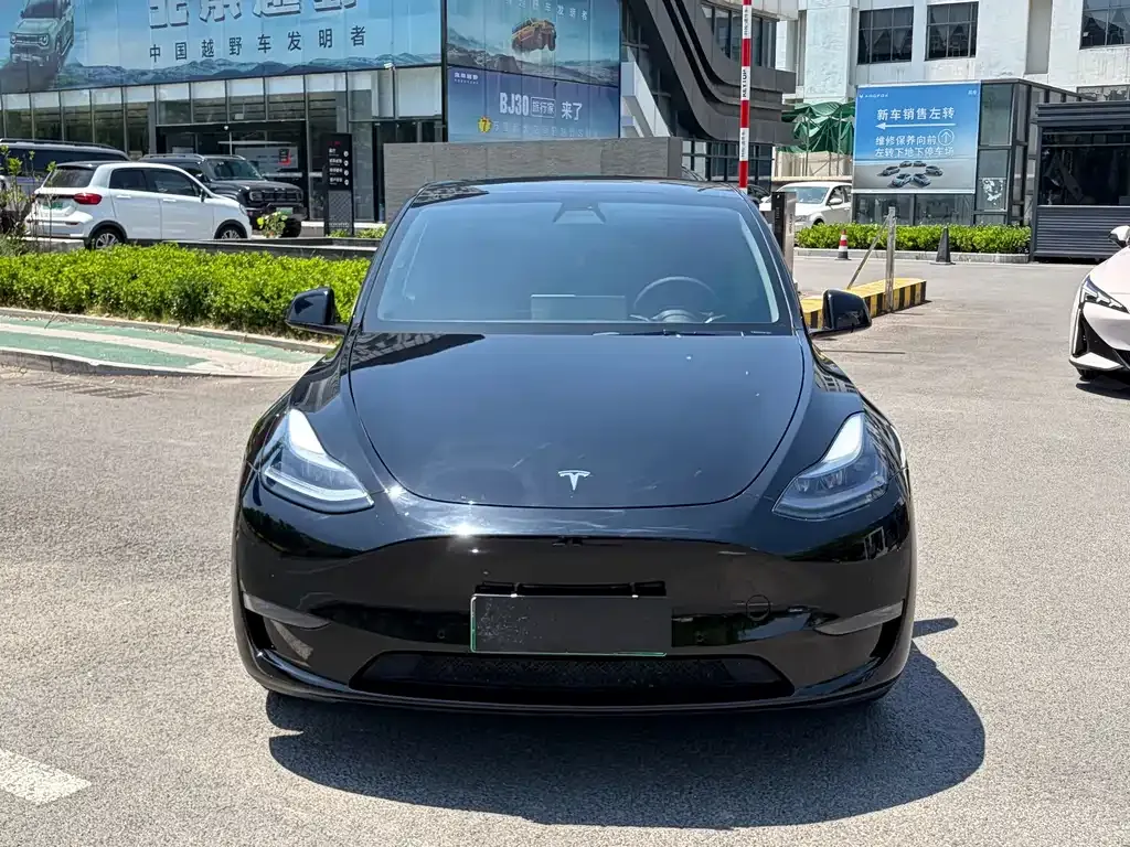 Tesla Model Y — фото 8