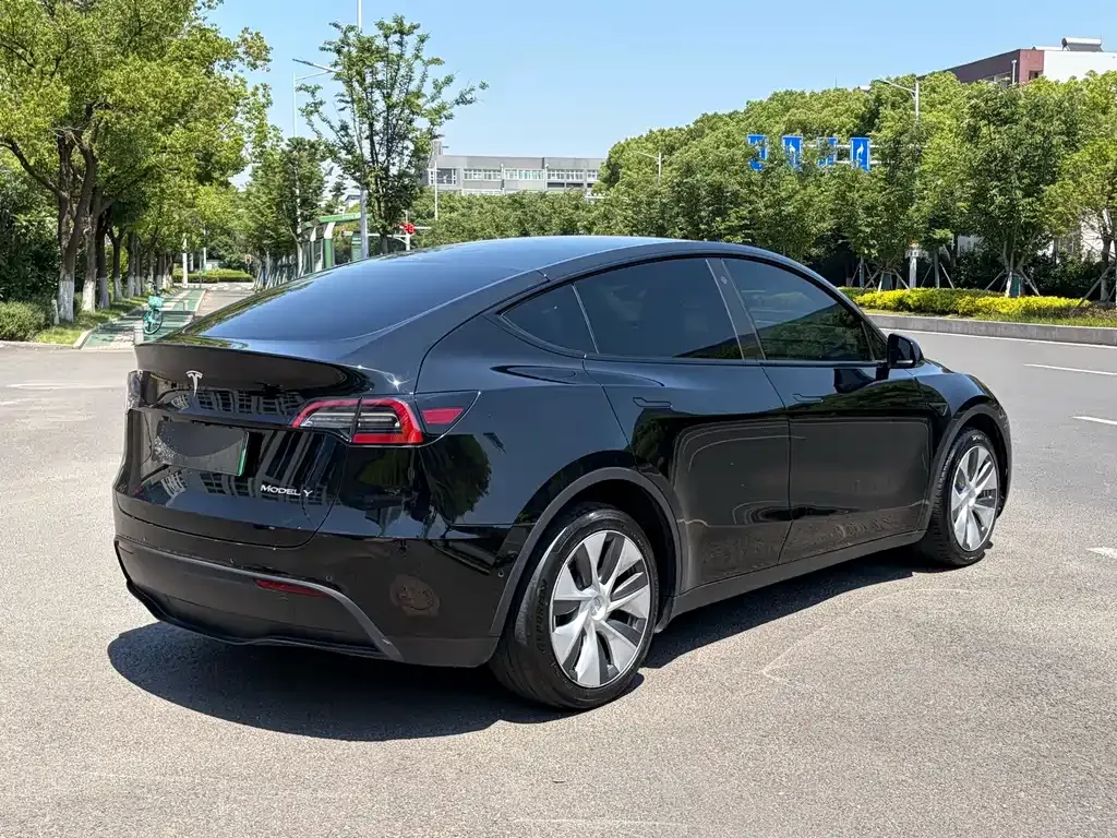 Tesla Model Y — фото 9