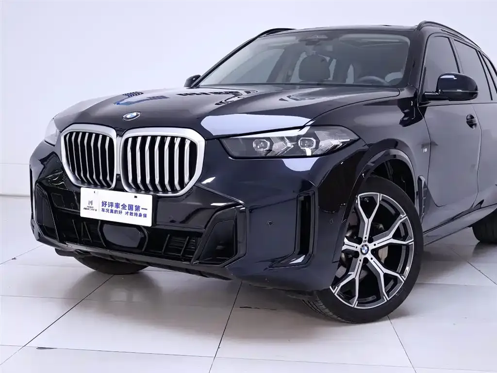 BMW X5 — фото 9