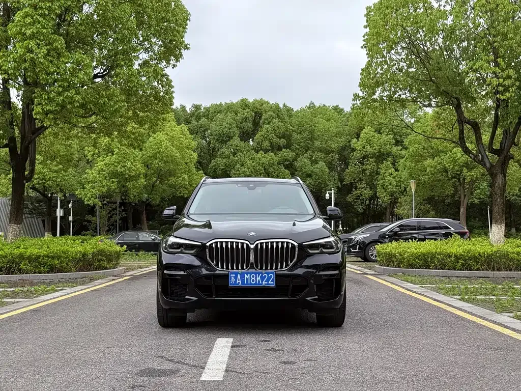 BMW X5 (Import) 2022 из CN, фото 9