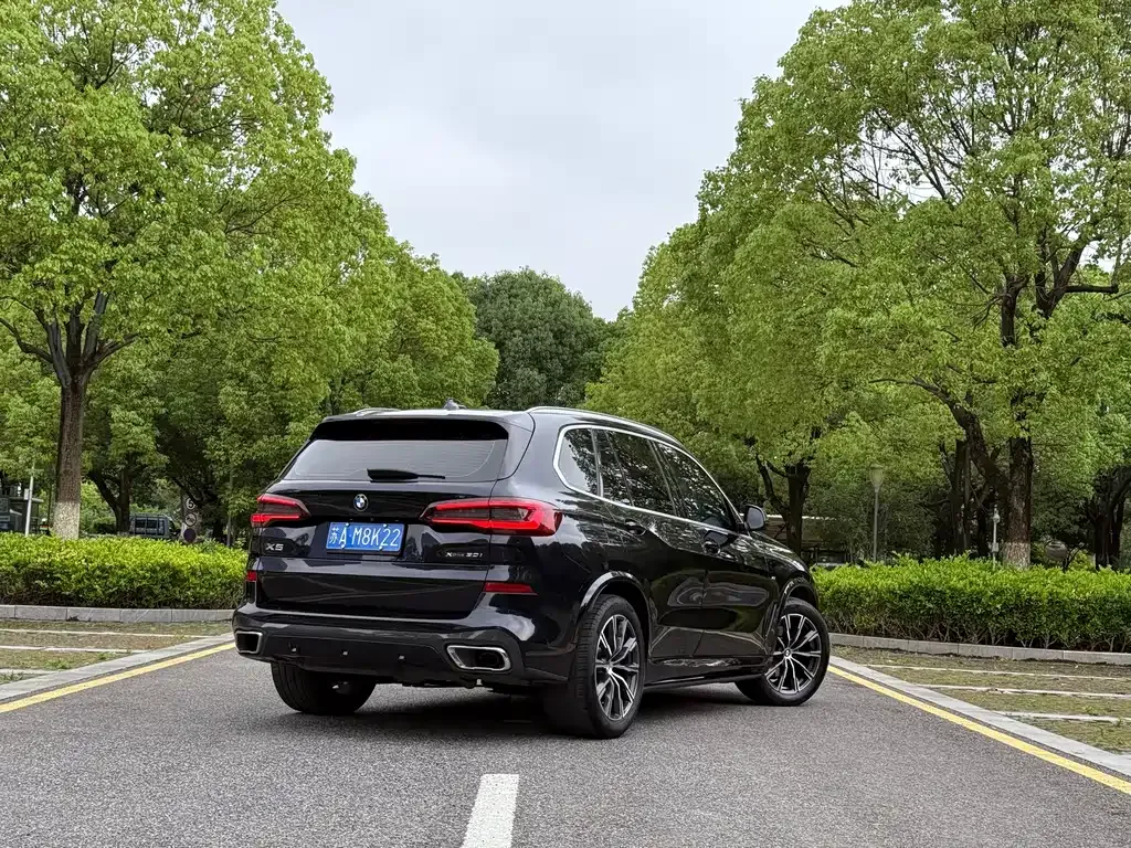 BMW X5 (Import) 2022 из CN, фото 6