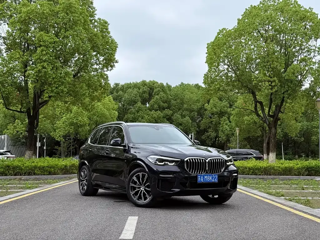 BMW X5 (Import) 2022 из CN, фото 8