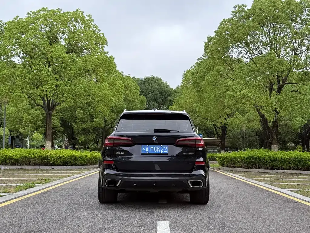 BMW X5 (Import) 2022 из CN, фото 7