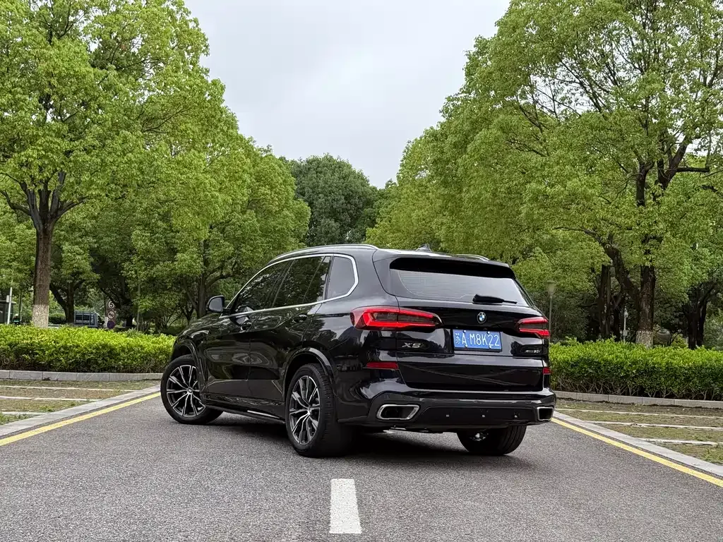 BMW X5 (Import) 2022 из CN, фото 10