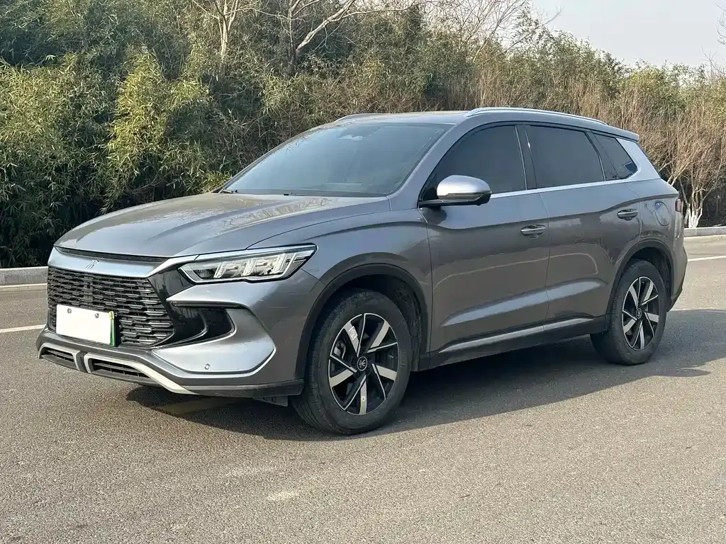 BYD Pro New Energy — фото 1