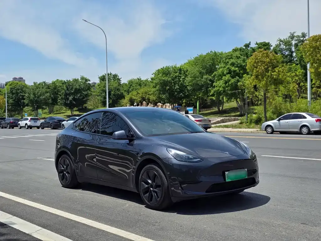 Tesla Model Y — фото 8