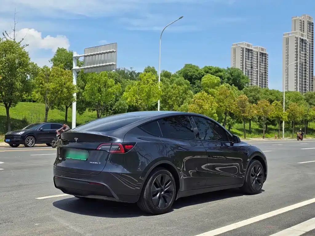 Tesla Model Y — фото 9