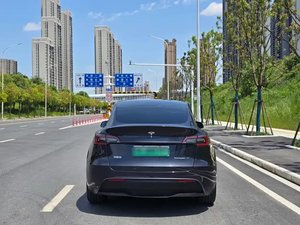 Tesla Model Y — фото 6