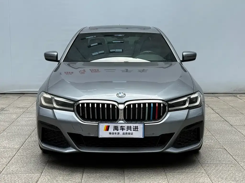BMW 5 Series (Import) 2022 из CN, фото 8