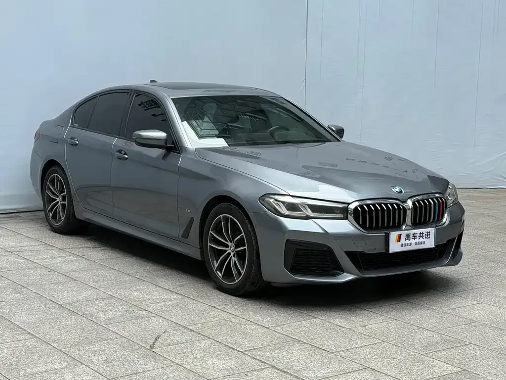 BMW 5 Series (Import) 2022 из CN, фото 7