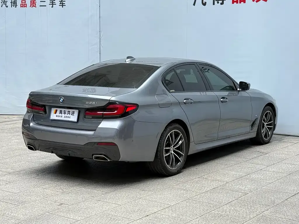 BMW 5 Series (Import) 2022 из CN, фото 5