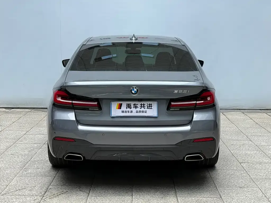 BMW 5 Series (Import) 2022 из CN, фото 2