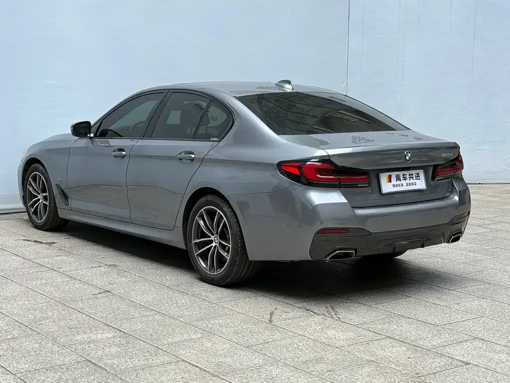 BMW 5 Series (Import) 2022 из CN, фото 3