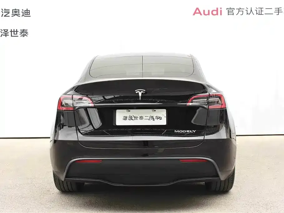 Tesla Model Y — фото 10