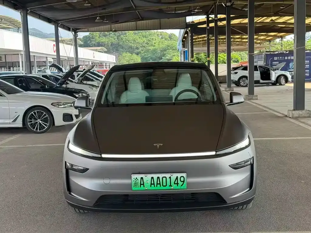 Tesla Model Y — фото 6