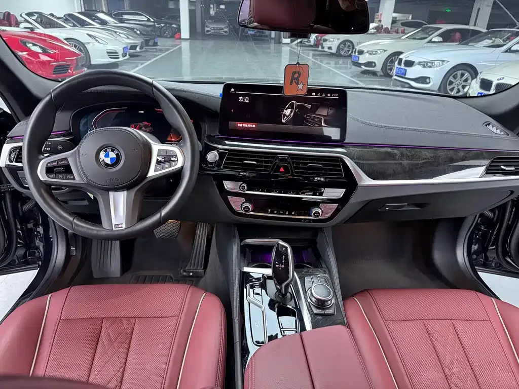 BMW 5 Series 2022 из CN, фото 10
