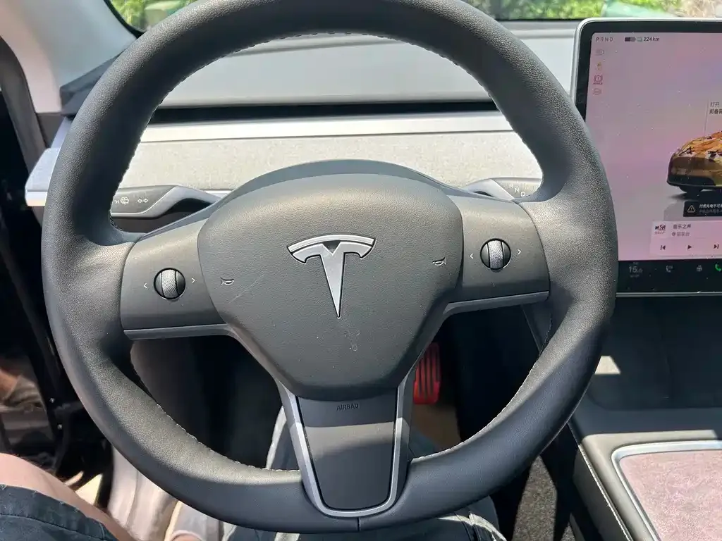 Tesla Model Y — фото 8