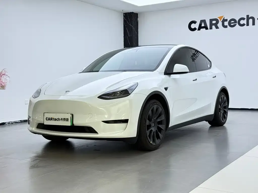 Tesla Model Y — фото 1