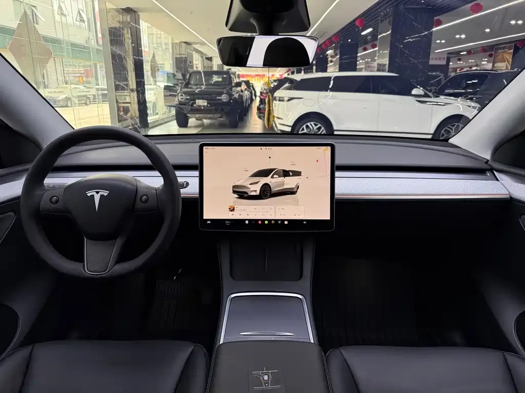 Tesla Model Y — фото 8