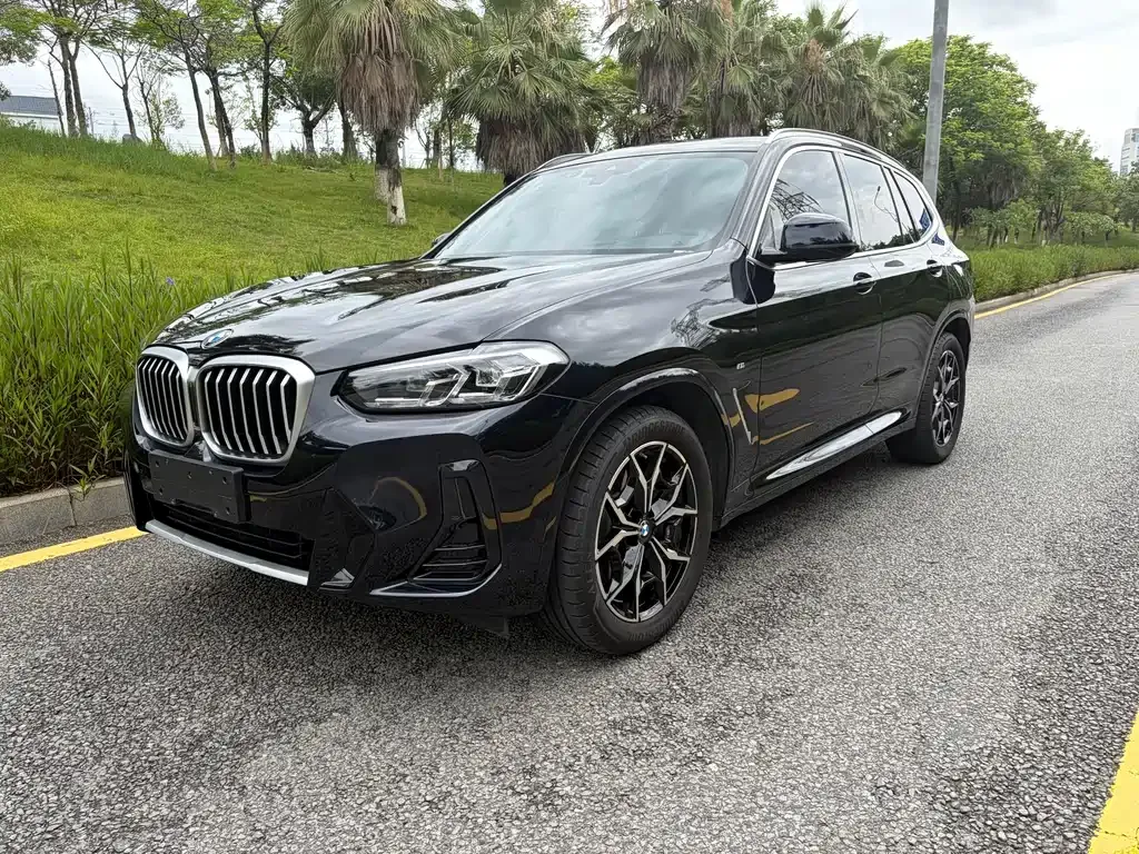 BMW X3 — фото 1