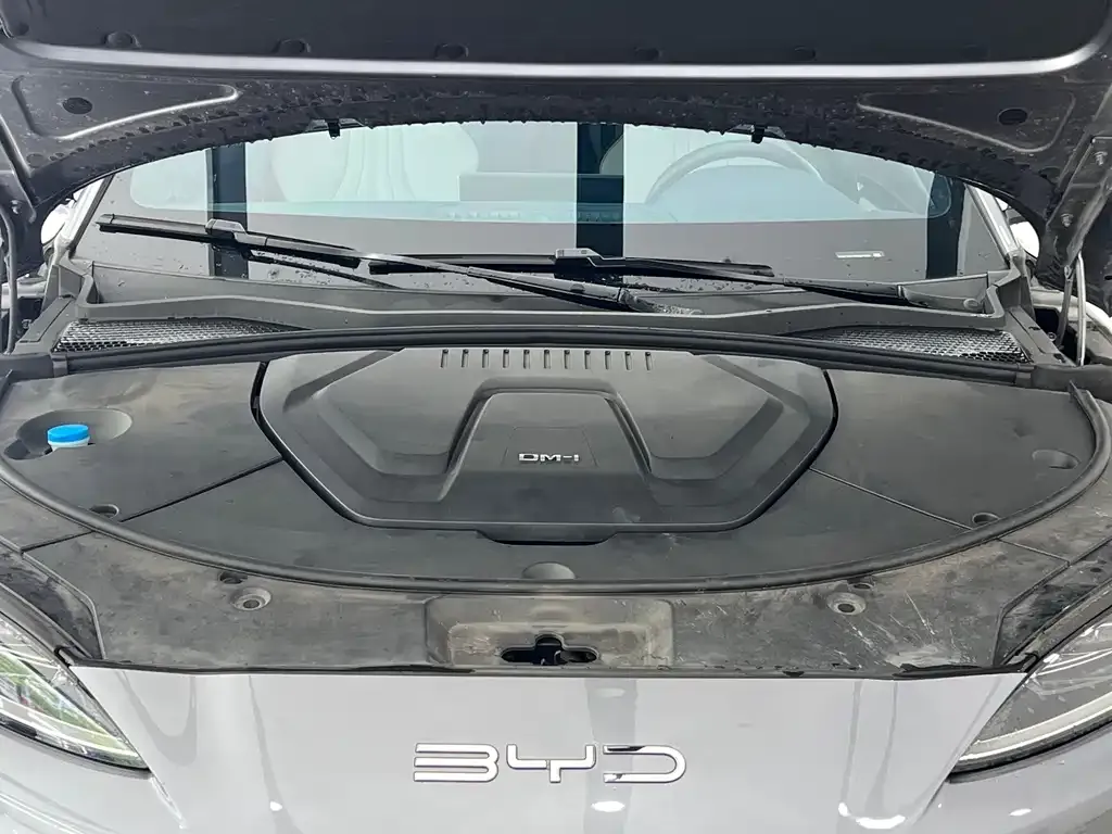 BYD PLUS New Energy — фото 9