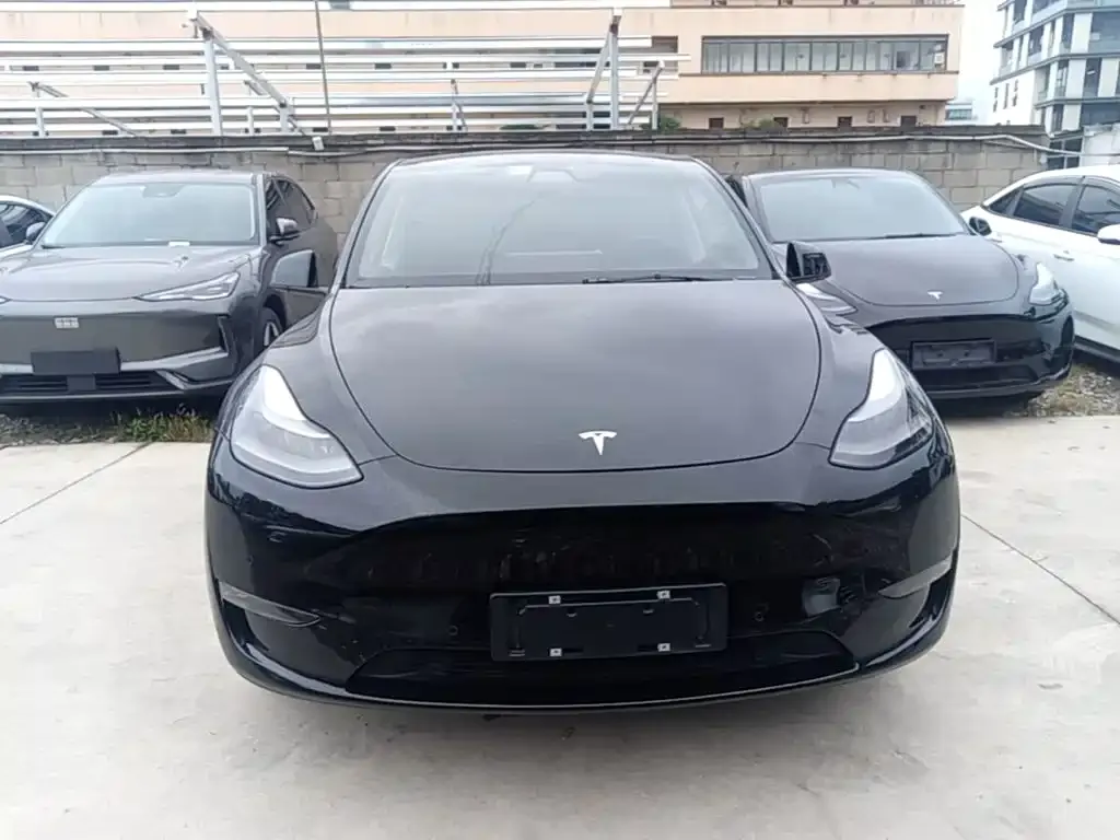 Tesla Model Y — фото 8