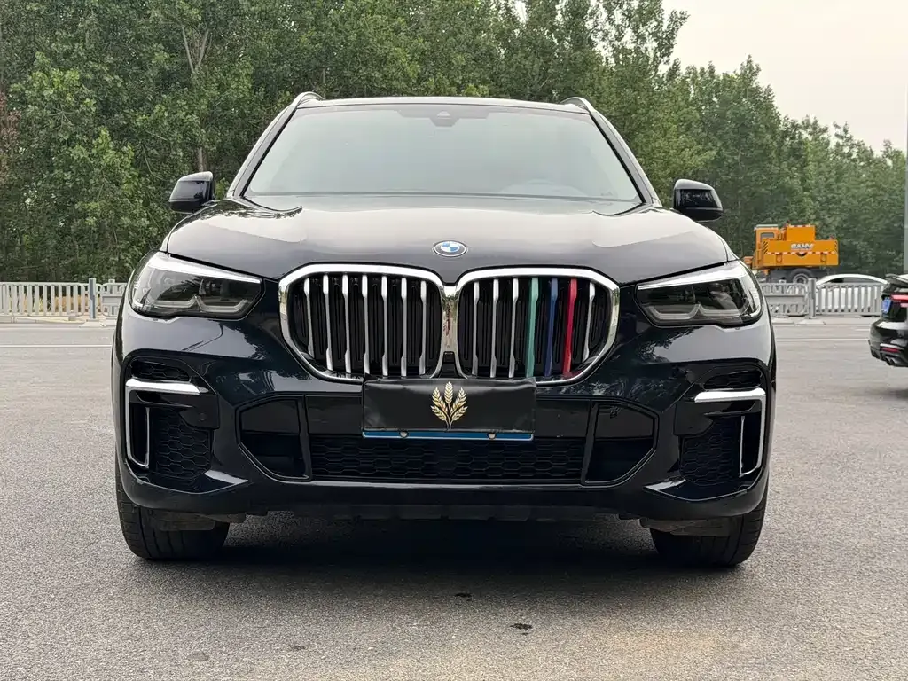 BMW X5 2022 из CN, фото 10