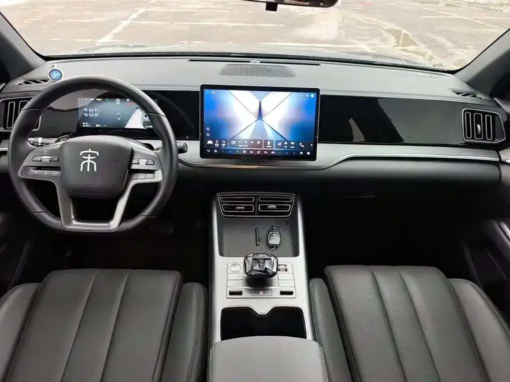 BYD Pro New Energy 2025 из CN, фото 3